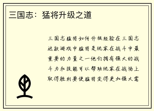 三国志：猛将升级之道
